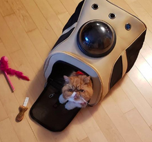 Load image into Gallery viewer, "The Fat Cat" Cat Backpack - For Larger Cats
