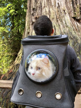 Load image into Gallery viewer, "The Fat Cat" Cat Backpack - For Larger Cats