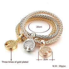 Load image into Gallery viewer, "Tree of Life" Charm Bracelet With Austrian Crystal
